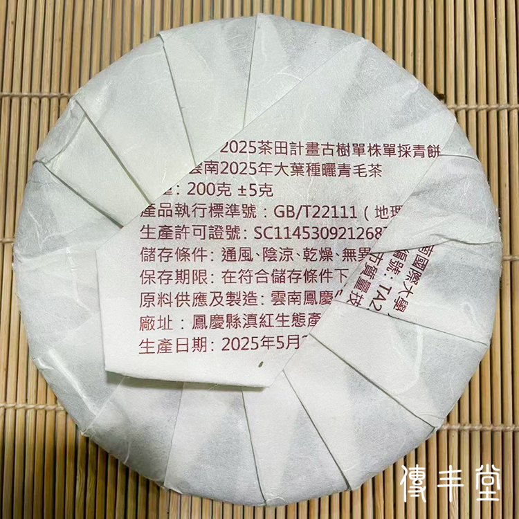 2025年 五百齡過渡型古樹單株青餅  (C.香竹箐單株)